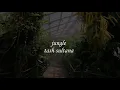 jungle - tash sultana (lyrics)
