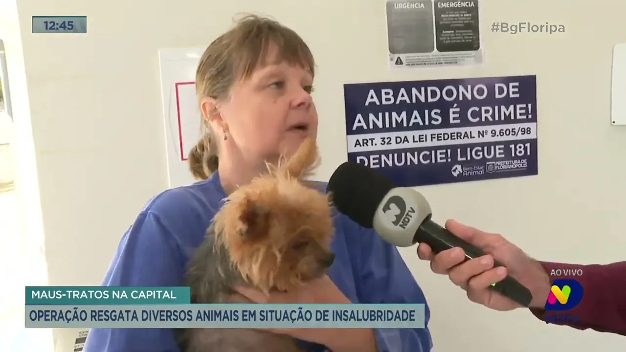 Operação resgata diversos animais em situação de insalubridade em Florianópolis