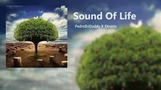 Download 🌳 PedroDJDaddy X Xtronic - Sound Of Life 🌳 MP3