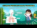 Download Lagu Organ Pernapasan Manusia - IPAS Kelas 5 || Kurikulum Merdeka