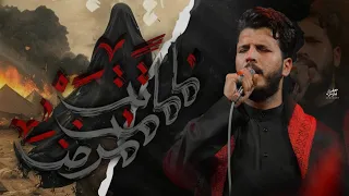 ماماتت من مرض    الرادود ذو الفقار الكعبي  دندنها
