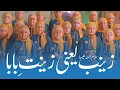 Zainabس yani Zeenat E Babaع | New Manqabat | Farsi Manqabat | #viralvideo