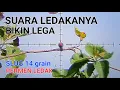 Download Lagu UNIT LOKAL AKURASI IMPORT !! SLUG PERMEN LEDAK 14 GRAIN SPESIAL LONGRANGE TERBAIK DIKELASNYA