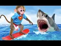 Download Lagu Monkey Baby Bon Bon oogst regenboogfruitgelei-ijs en avonturen met de buitenaardse baby