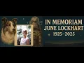 Remembering Legendary June Lockhart 1925 2025 - Star of Lassie Lost in Space Petticoat Junction