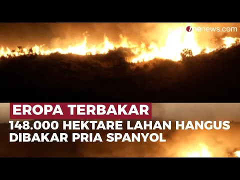 Pria Spanyol Bakar Lahan, 148.000 Hektare Hutan Hangus