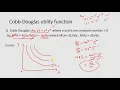UTILITY FUNCTION 4 types I MICROECONOMICS