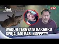 Download Lagu Innalillahi Kakak T3was Saat Jadi Babi Ngepet... | Aini Malaikat Tak Bersayap Eps 218 (2/5)
