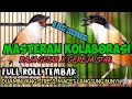 Masteran Kolaborasi \