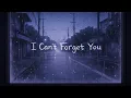 Lagu Nightcore – I Can’t Forget You | Sad / Emotional Nightcore