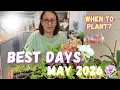 Best Days to Plant in May 2026 Lunar Gardening Calendar Tips