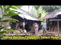 Lagu PASUTRI PEMBERANI..TINGGAL BERDUA DI TENGAH HUTAN