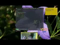 Learning Rust Programming - Unit Type