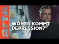 Download Lagu Depression – Veranlagung oder Umwelteinflüsse? | Agree to Disagree! | ARTE