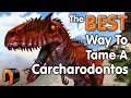 Ark How To Tame A Carcharodontosaurus AMAZING REAL WAY