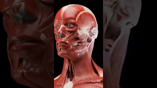 ولقد خلقنا الإنسان من سلالة من طين ياسر الدوسري تلاوات قرآنية لا تنسى الاشتراك 