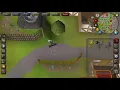 How To Insure Your Pet OSRS Tutorial