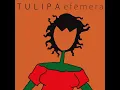 Só Sei Dançar Com Você (feat. Zé Pi) - Tulipa Ruiz