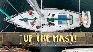 Sailing AT the Dock in 102km/hr Winds! | Chapter3 Episode 24 | The Wayward Life