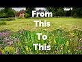 Download Lagu Wildflower Meadow Revisited - 10 Years On - Part 1 - Potato Field to Meadow