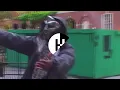 MF DOOM - Rapp Snitch Knishes | Rhymes Highlighted