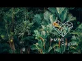 Download Lagu Dan Bay \u0026 Idd Aziz - Thikii (Jackswell Remix) [Afro House 2022 / HMWL]