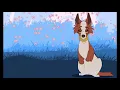gif animations