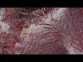 LA NOCHE - Skrillex, ANITA B QUEEN & Chris Lake