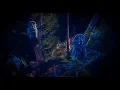 Download Lagu 12 Hours Owl Forest Night Sound Sleep, Relax,