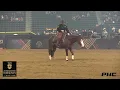 CASEY DEARY DOWN RIGHT AMAZING TAPH REINING CHAMPION 231.5