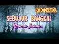 SEBUJUR BANGKAI | RHOMA IRAMA (DTD-CHANEL)