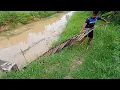 Download Lagu #EP1332 Siput Pait, Pukat dan Menjala | Catch and Cook