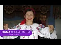Download Lagu Oana Bozga Pintea - Omu' meu (NOU 2020)