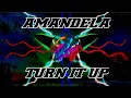 Download Lagu DJ Amandela X Turn it up_Slowbass Glerr_DJ WahyuNation Remix