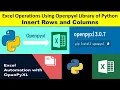 Excel Operations Using Openpyxl Library of Python Insert Rows and Columns datatechinfo