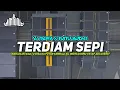 Lagu TERDIAM SEPI - VJ ROFA X RA || REMIX LAMPUNG VIRAL YANG TERBARU 2024‼️