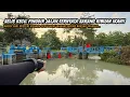 NGERI IKAN SEBANYAK INI DI SPOT PINGGIR JALAN DAN MAKAM!! wader teknik kumbul pakai umpan magot