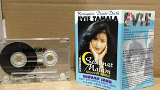 Download Evie tamala - dibawah sinar bulan MP3