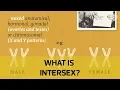 What is intersex