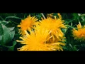 2CELLOS - Every Breath You Take