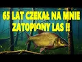 Download Lagu NURKOWANIE  19.06.2025  JEZIORO CZARNOGŁOWY - ZATOPIONY LAS