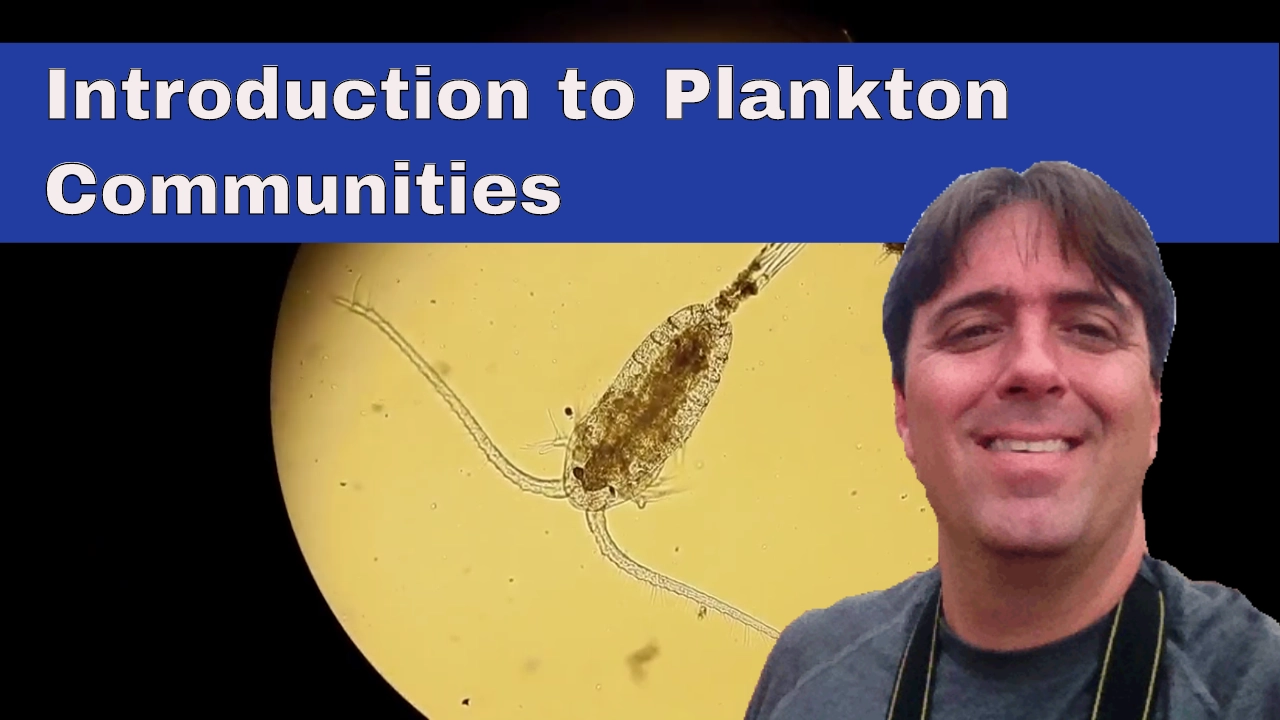 Plankton 101