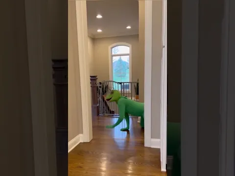 FROG ATTACKS TODDLER (Toddler Gets Even!)