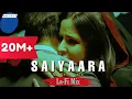 Lagu Saiyaara - Goldie Khristi | Ek Tha Tiger | Broken