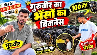 Guruveer का भेसो का Business😱 1 Lack 60 हज़ार कमाई 😨 Open Challange 😡 Rohit Deswal 👿 Vs Guruveer 🤡