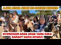 Download Lagu NYENENGIN ANAK ANAK KASIH MAKAN HEWAN DI SAFARI MADRID - SPANYOL 