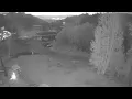 Steinlodge SkiCam