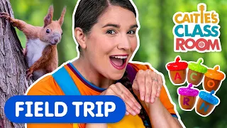 Let s Pretend To Be Squirrels Caitie s Classroom Field Trip Learn Play On An Epic Playground