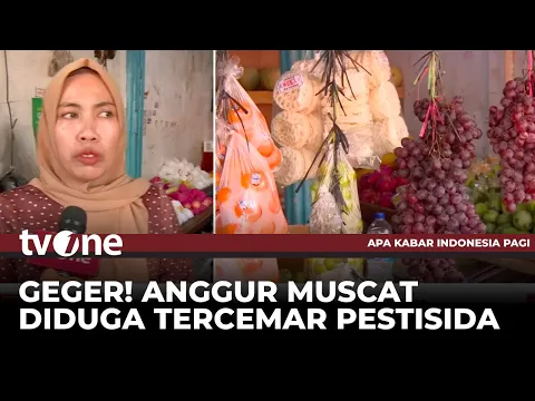 Heboh Anggur Muscat Tercemar Pestisida, Begini Respons Penjual Buah