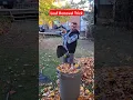 Leaf Removal Trick using a weed Wacker